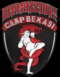 Camp Dragon 